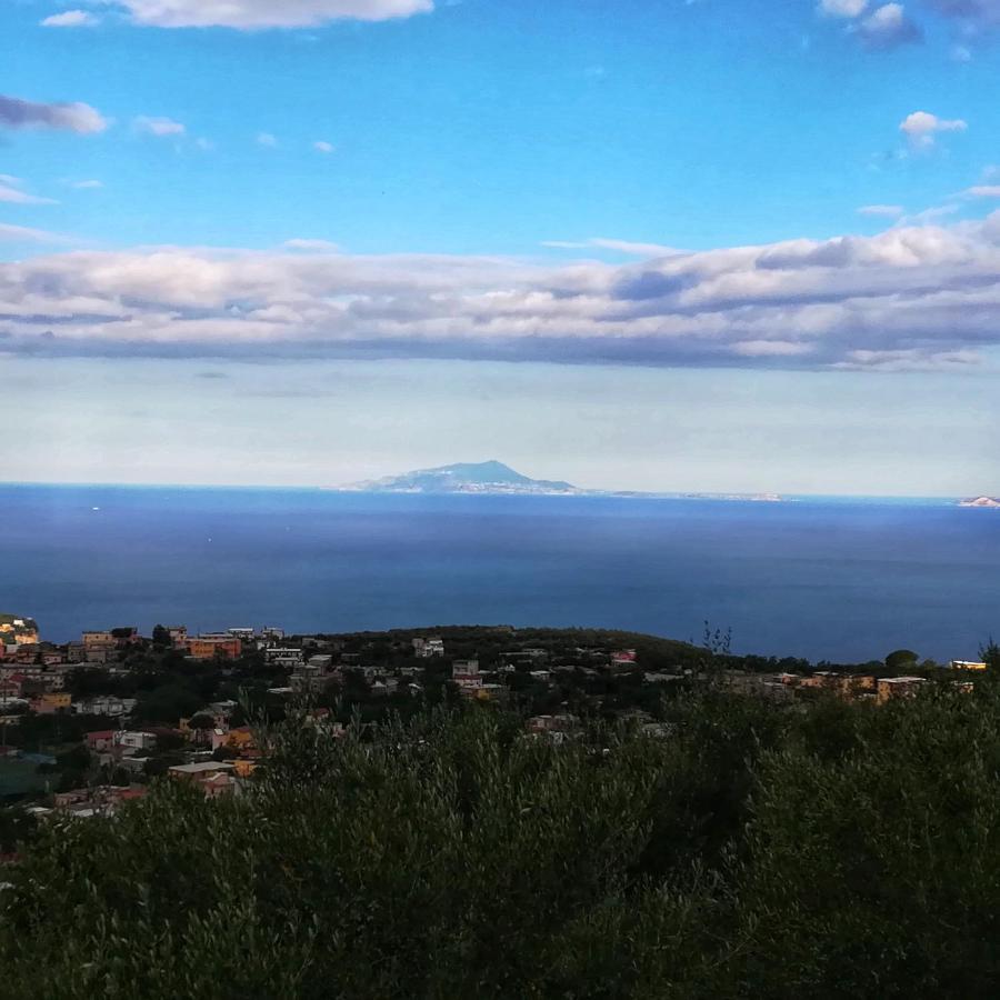 La Mandra, Cottage Tra Gli Ulivi Vico Equense Bagian luar foto