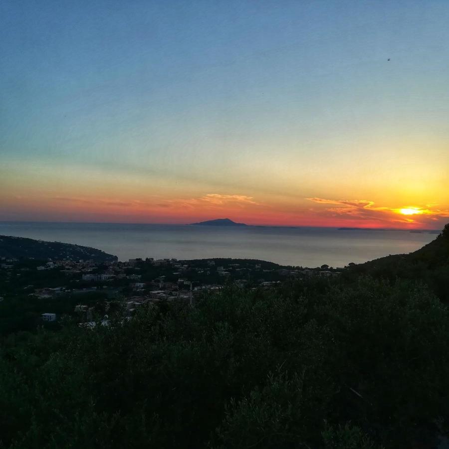 La Mandra, Cottage Tra Gli Ulivi Vico Equense Bagian luar foto