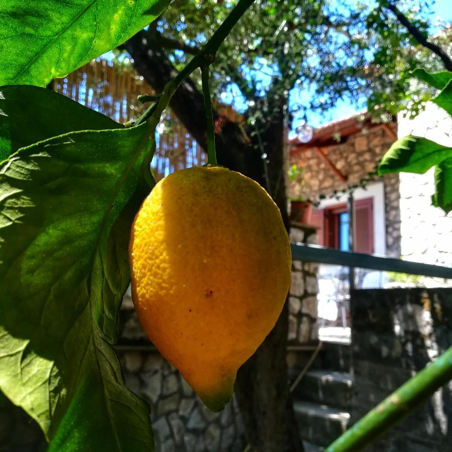 La Mandra, Cottage Tra Gli Ulivi Vico Equense Bagian luar foto
